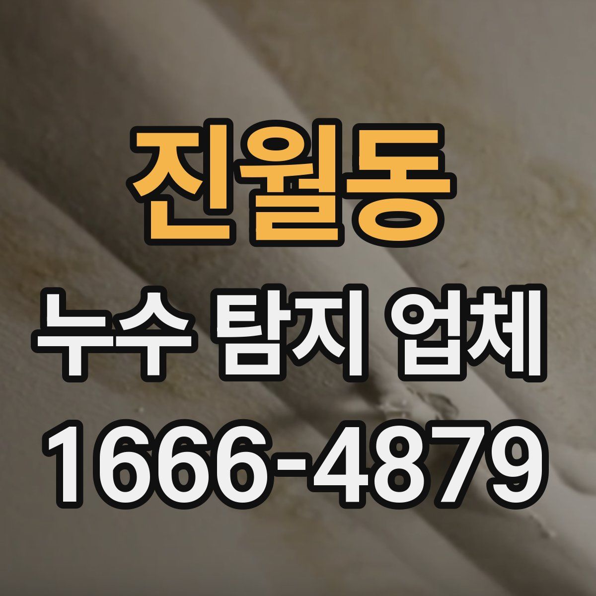 진월동 누수 탐지 업체