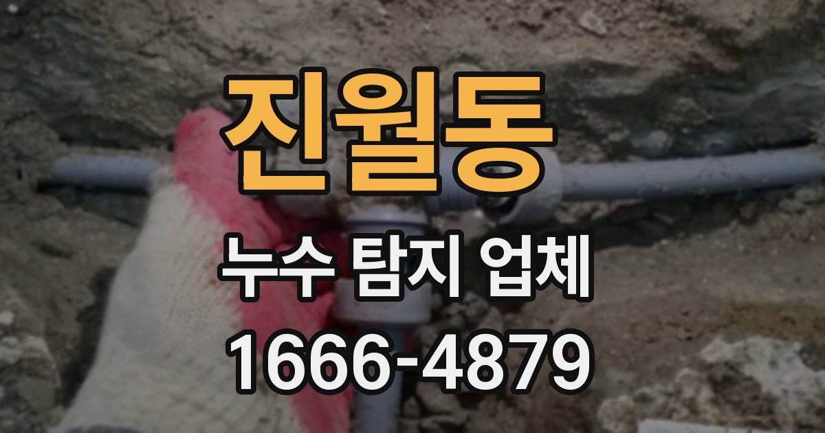 진월동 누수 탐지 업체