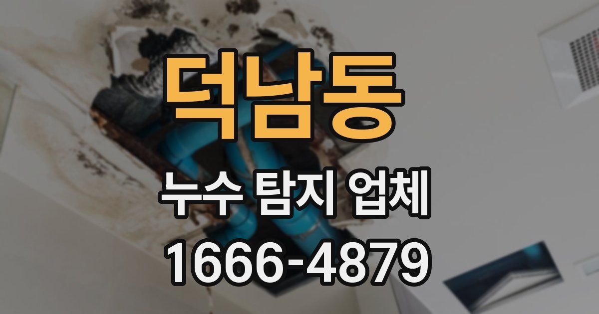 덕남동 누수 탐지 업체