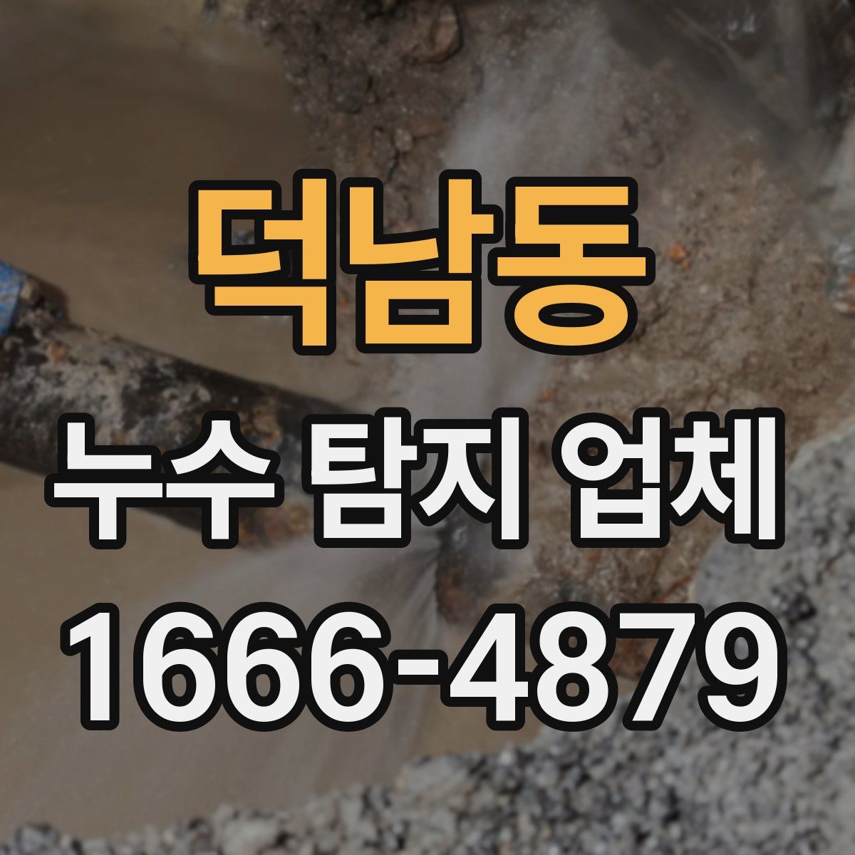 덕남동 누수 탐지 업체