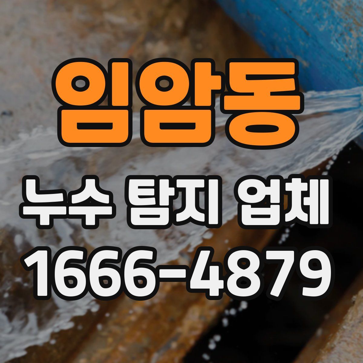 임암동 누수 탐지 업체