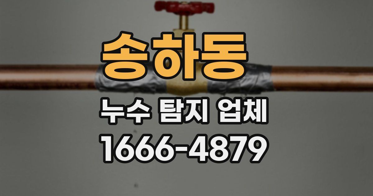 송하동 누수 탐지 업체