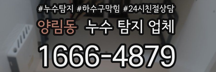 양림동 누수 탐지 업체