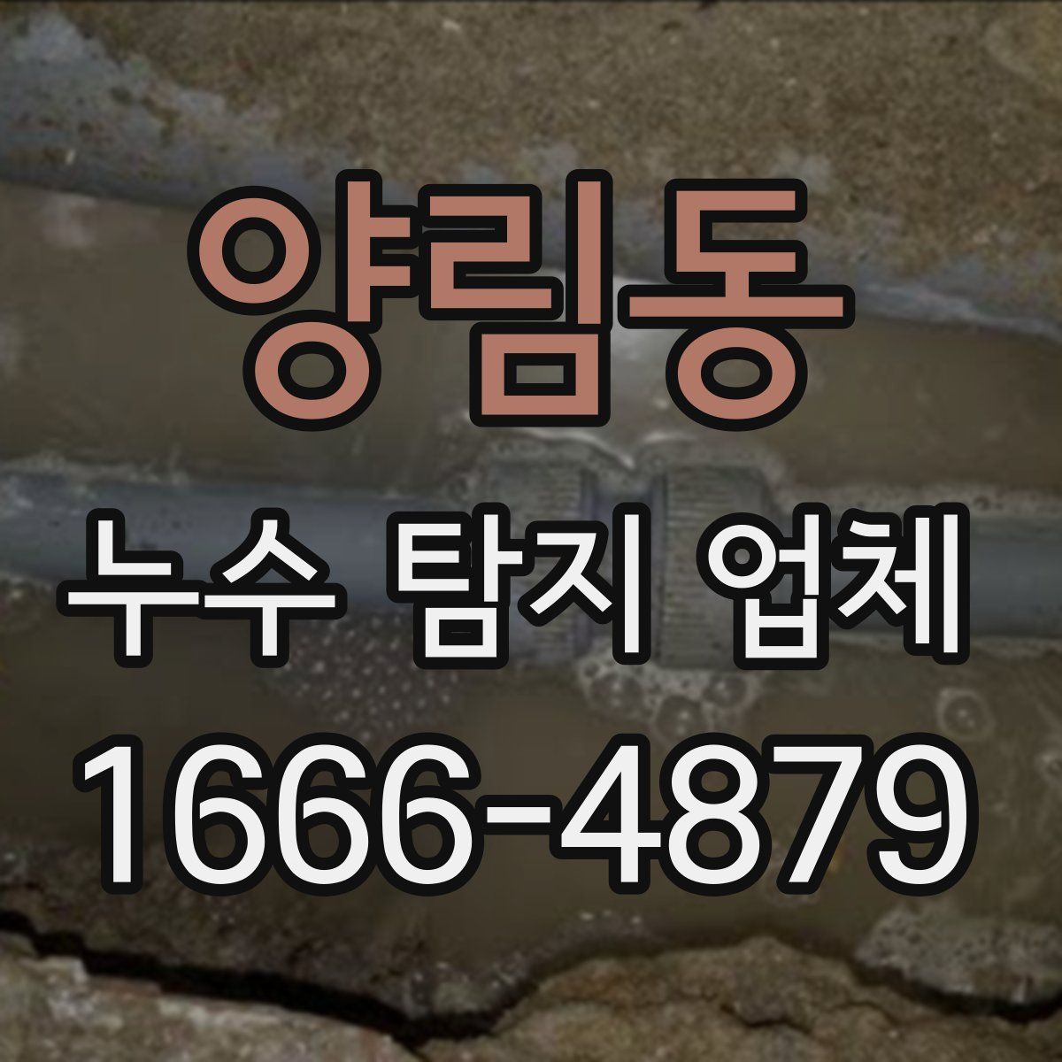 양림동 누수 탐지 업체