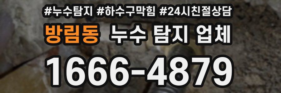 방림동 누수 탐지 업체