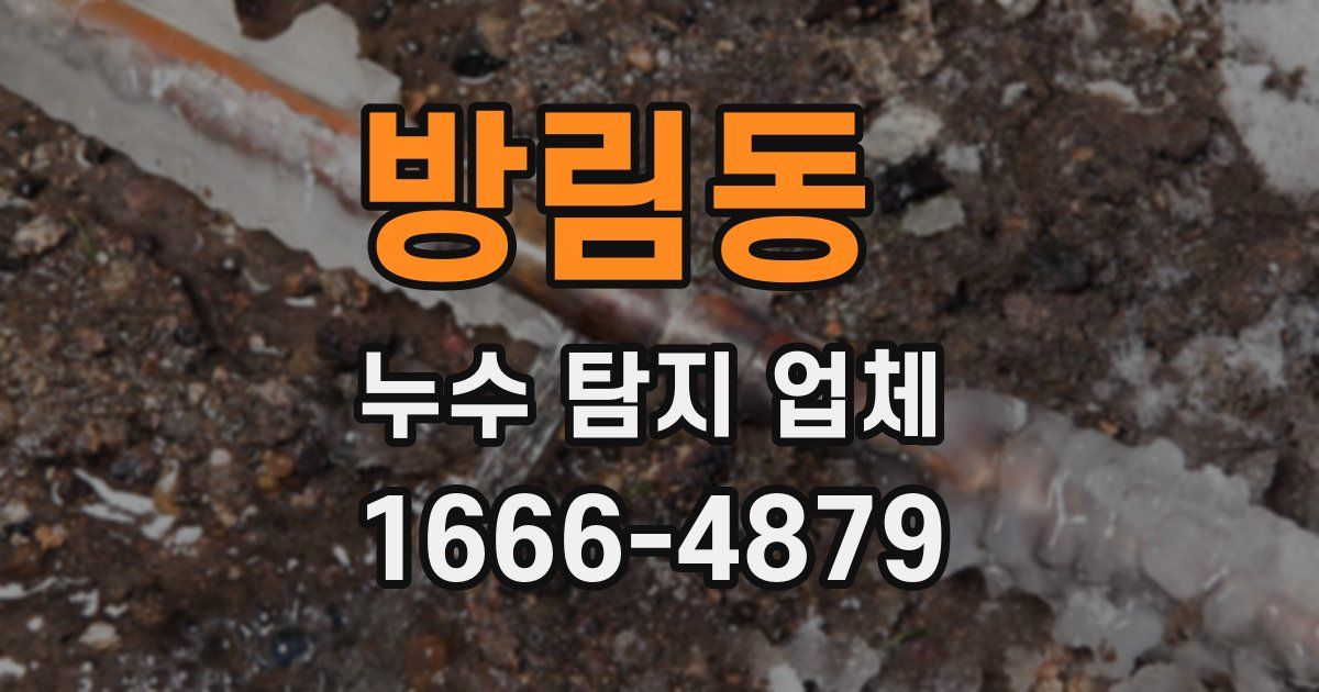 방림동 누수 탐지 업체