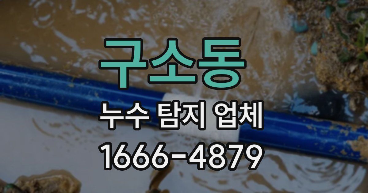 구소동 누수 탐지 업체