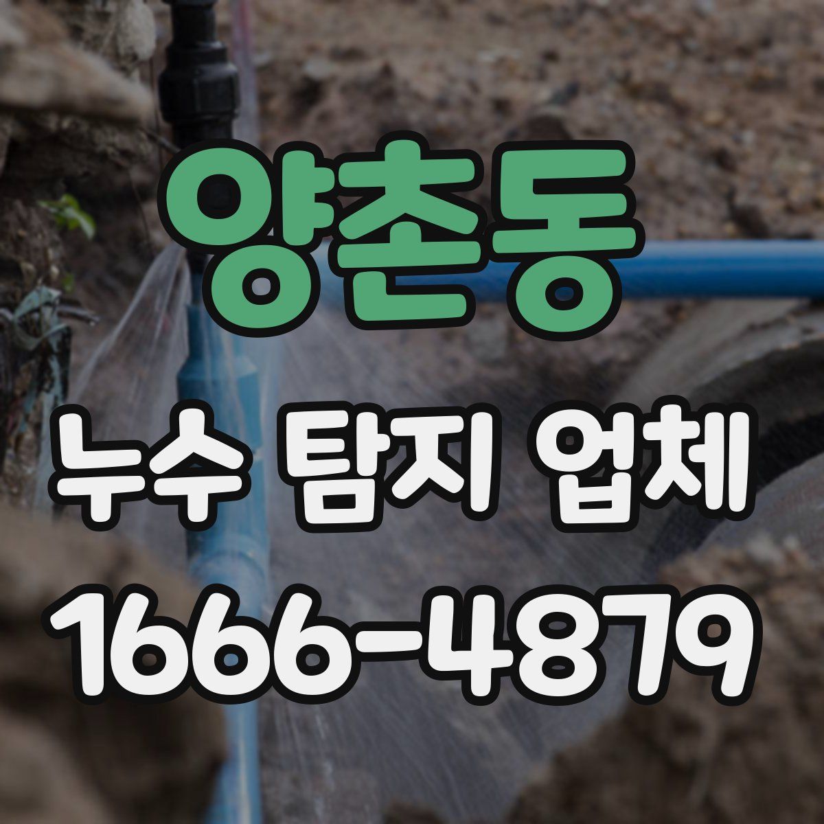 양촌동 누수 탐지 업체
