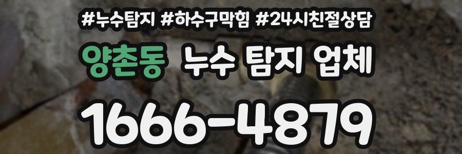 양촌동 누수 탐지 업체