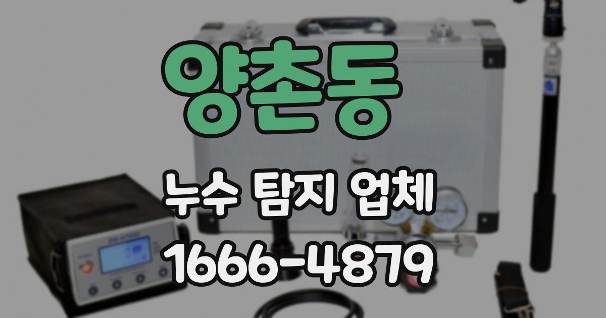 양촌동 누수 탐지 업체