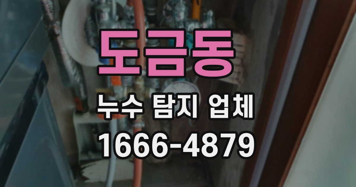 도금동 누수 탐지 업체
