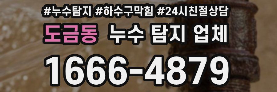 도금동 누수 탐지 업체