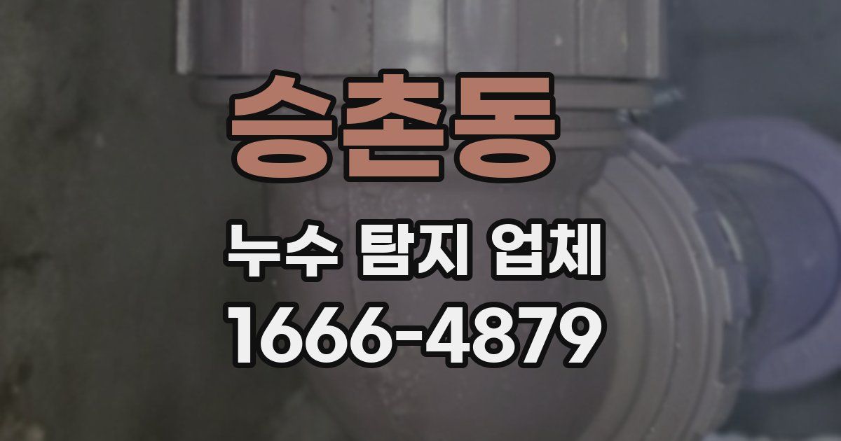 승촌동 누수 탐지 업체