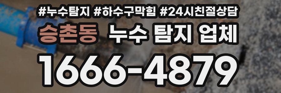 승촌동 누수 탐지 업체