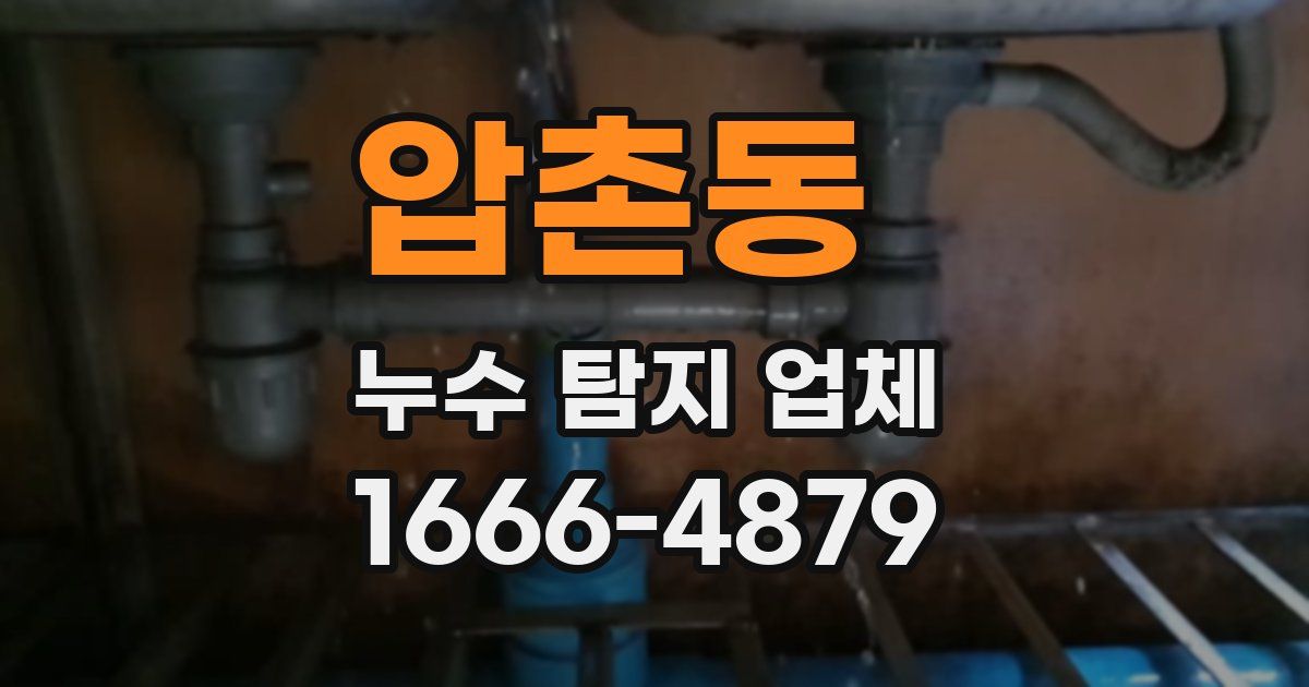 압촌동 누수 탐지 업체