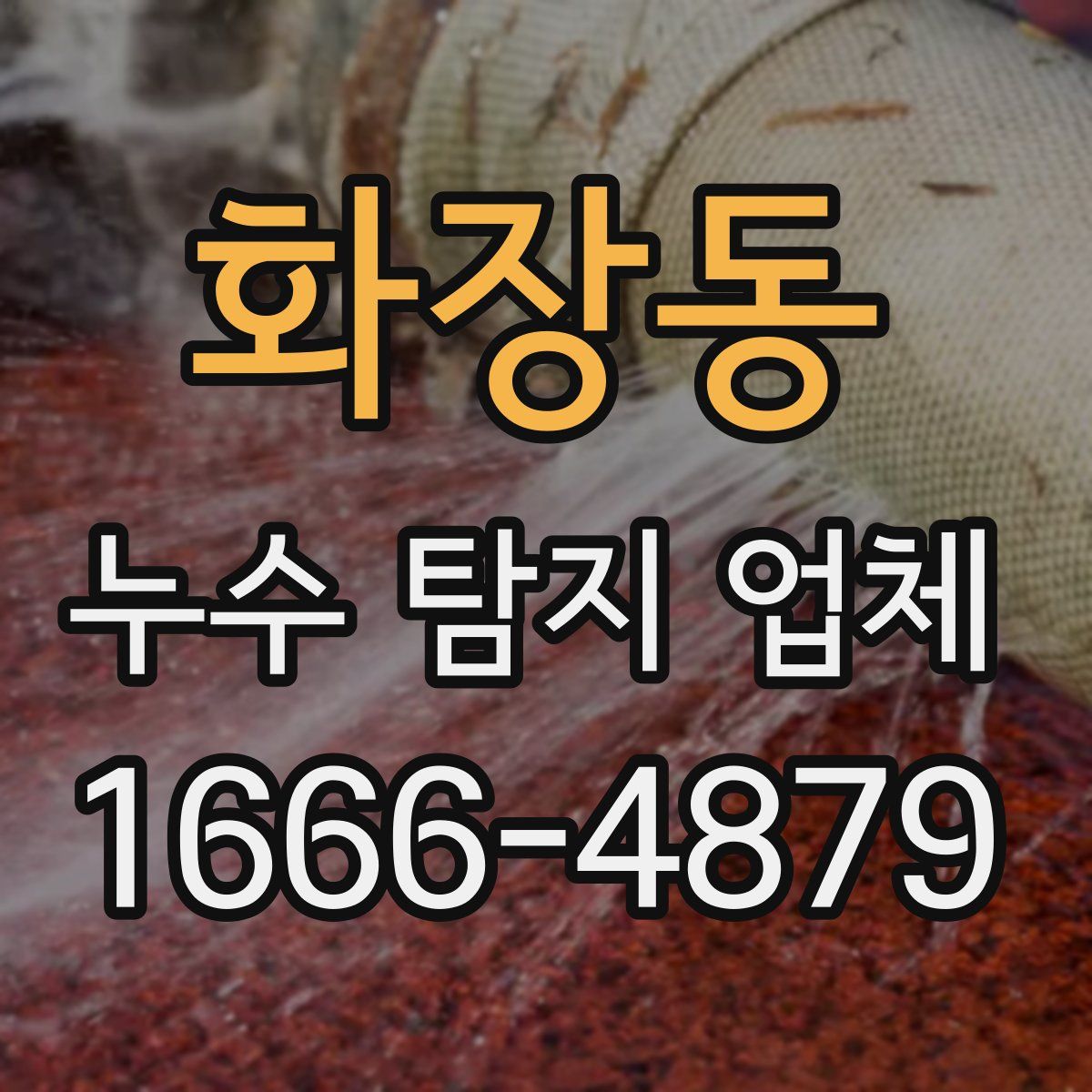 화장동 누수 탐지 업체