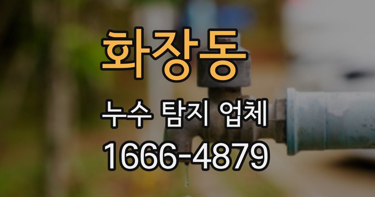 화장동 누수 탐지 업체