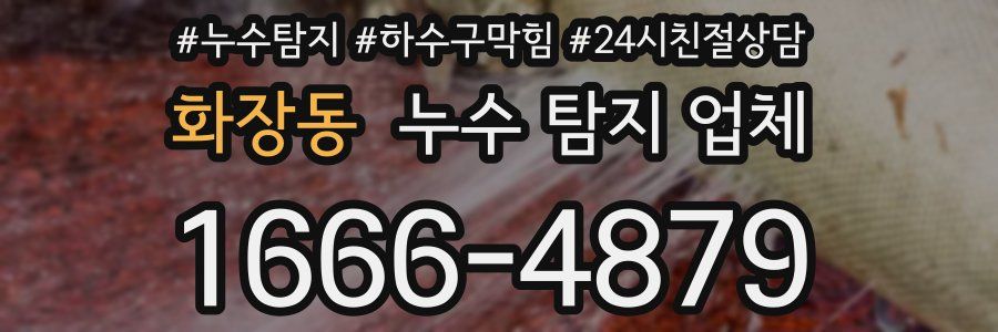 화장동 누수 탐지 업체