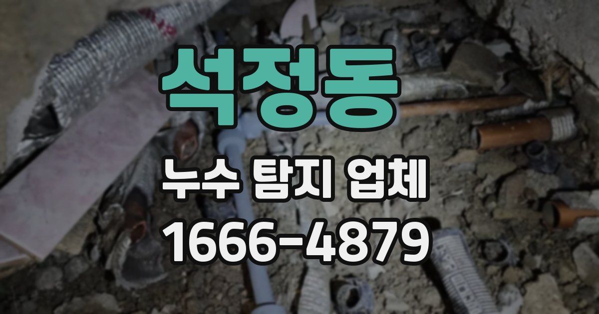석정동 누수 탐지 업체