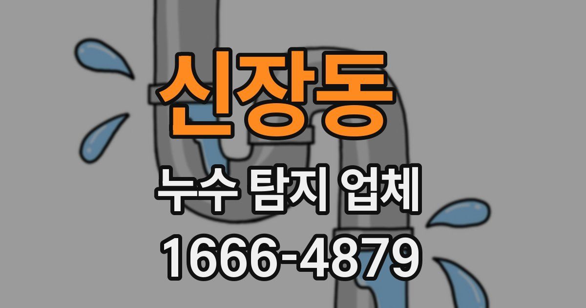 신장동 누수 탐지 업체