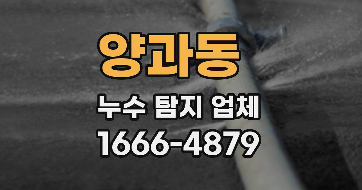 양과동 누수 탐지 업체