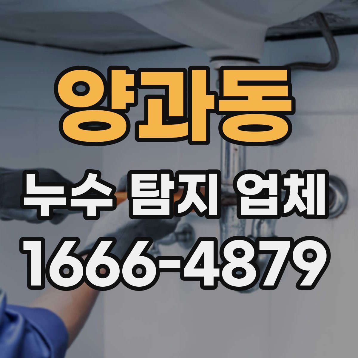 양과동 누수 탐지 업체