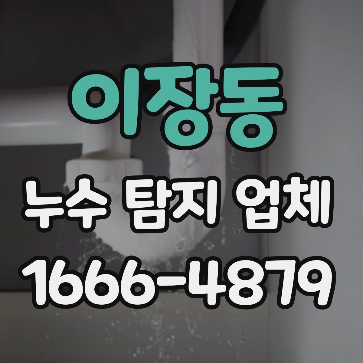 이장동 누수 탐지 업체