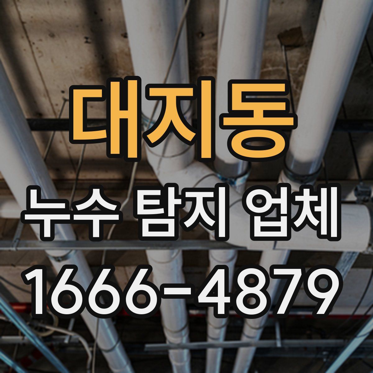 대지동 누수 탐지 업체