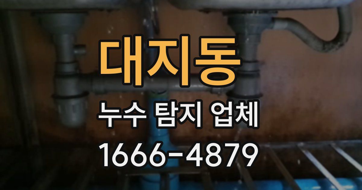 대지동 누수 탐지 업체