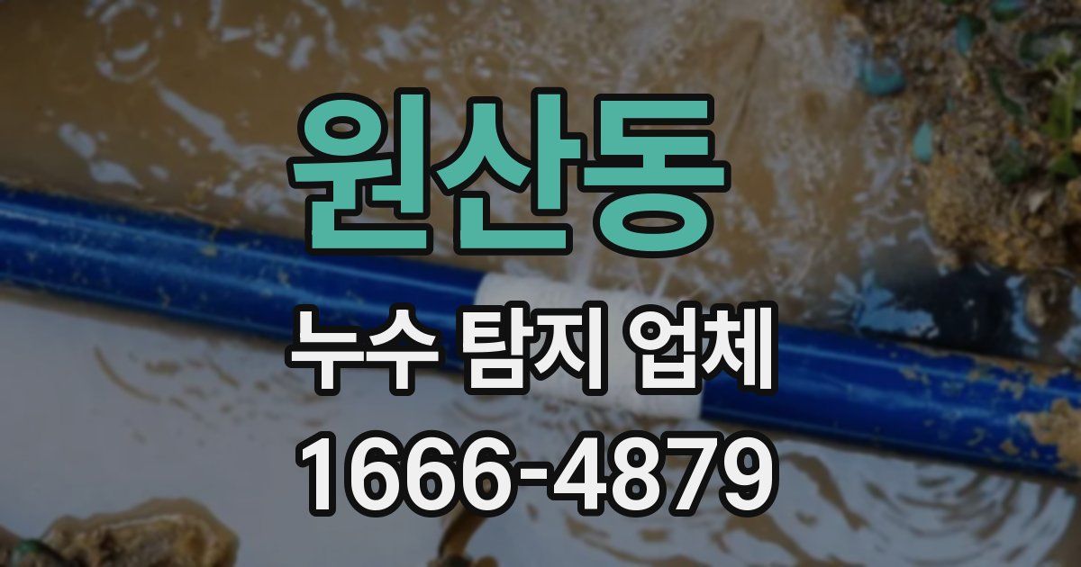 원산동 누수 탐지 업체