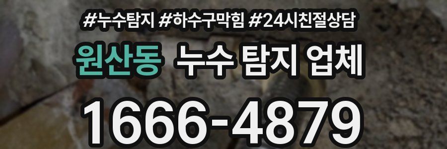 원산동 누수 탐지 업체
