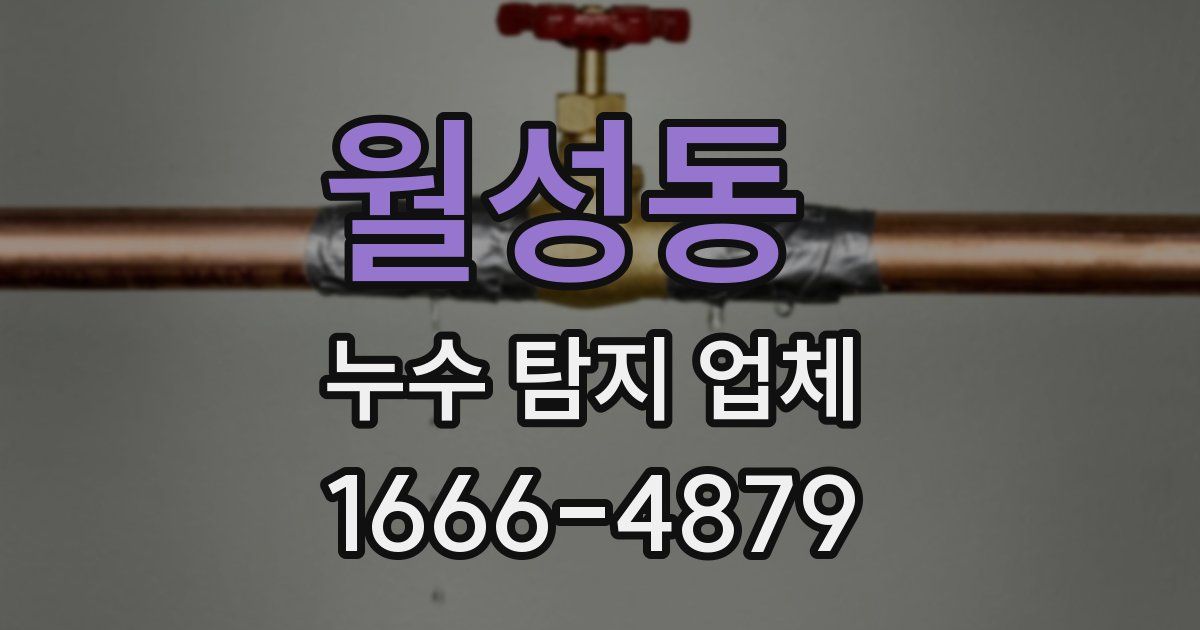 월성동 누수 탐지 업체