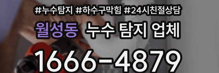 월성동 누수 탐지 업체