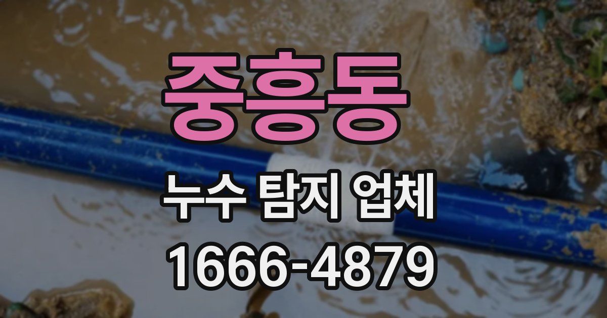 중흥동 누수 탐지 업체
