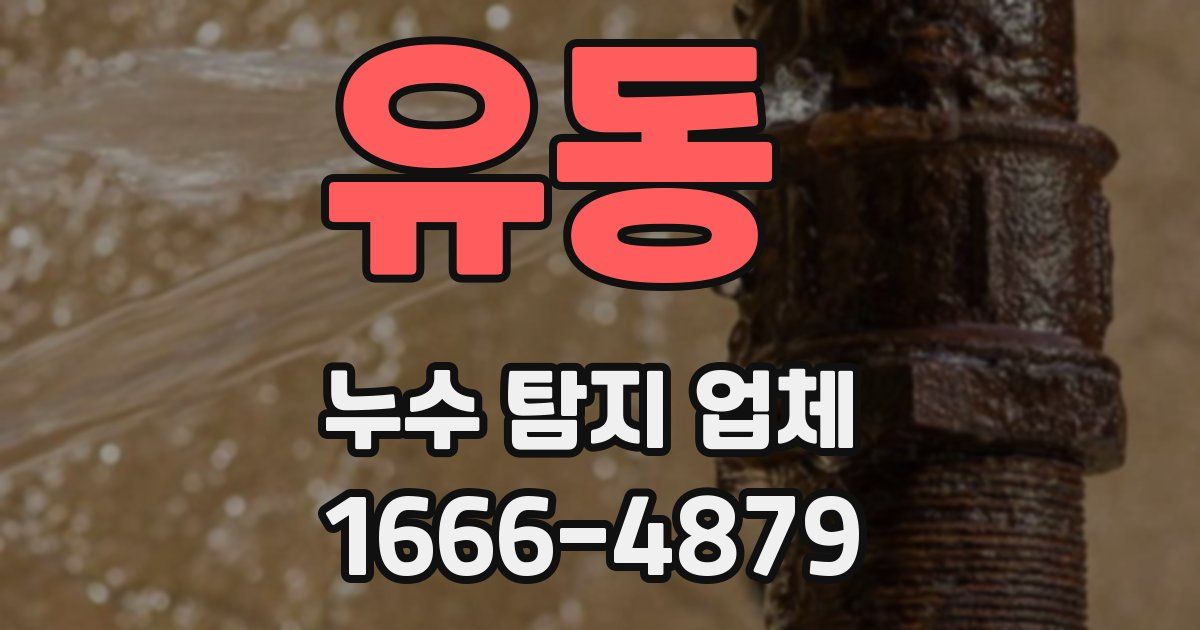 유동 누수 탐지 업체