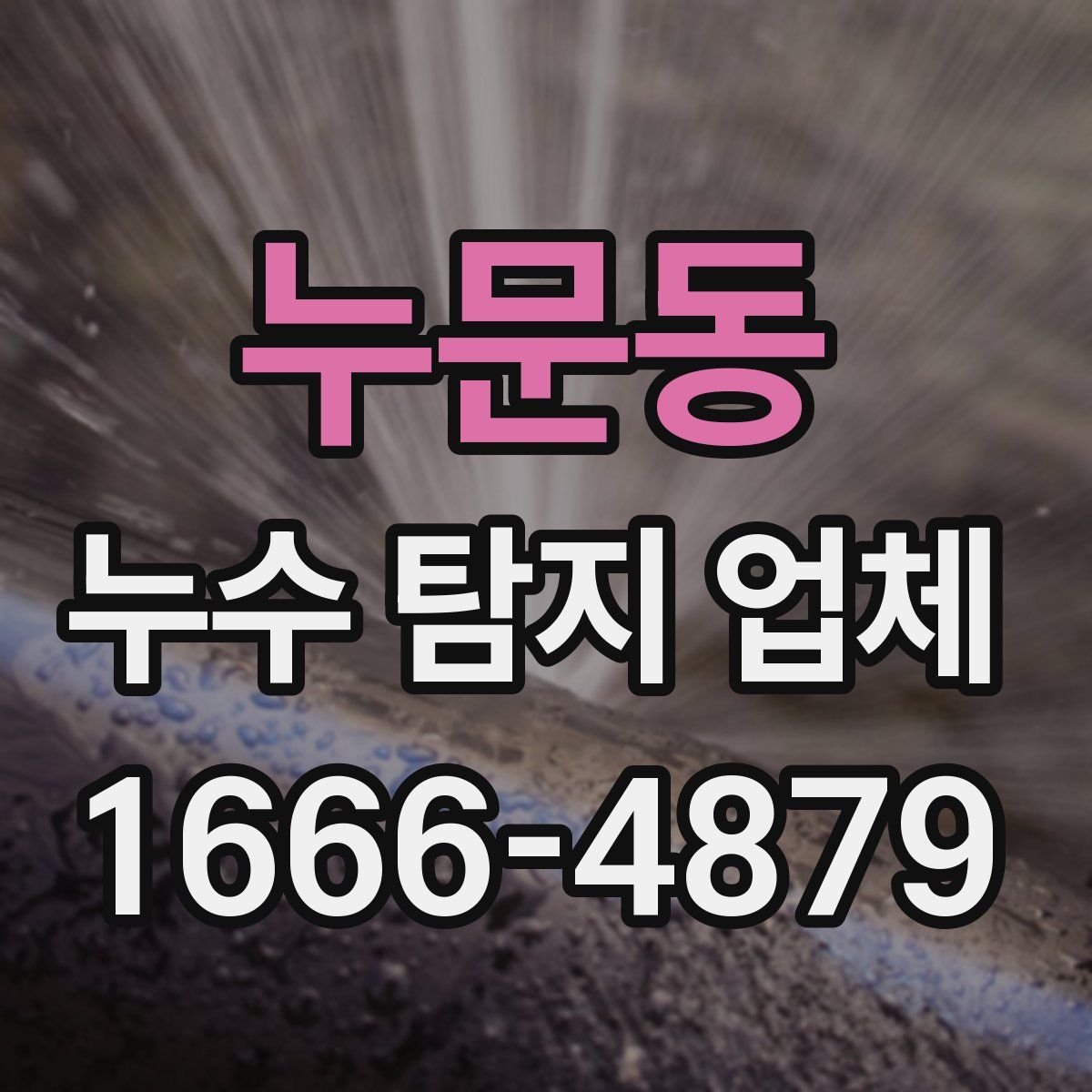 누문동 누수 탐지 업체