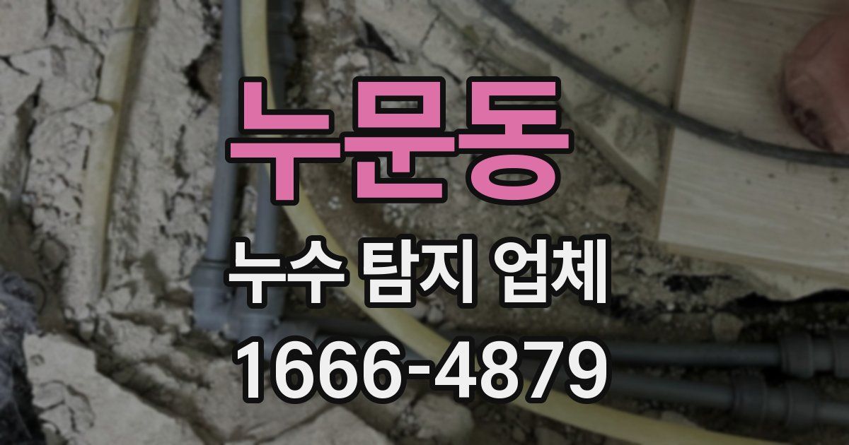 누문동 누수 탐지 업체