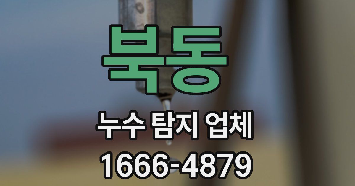 북동 누수 탐지 업체