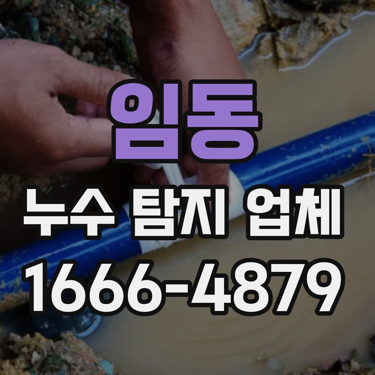 임동 누수 탐지 업체