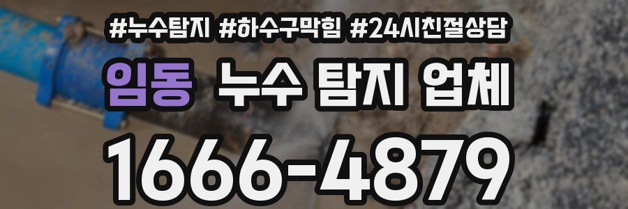 임동 누수 탐지 업체