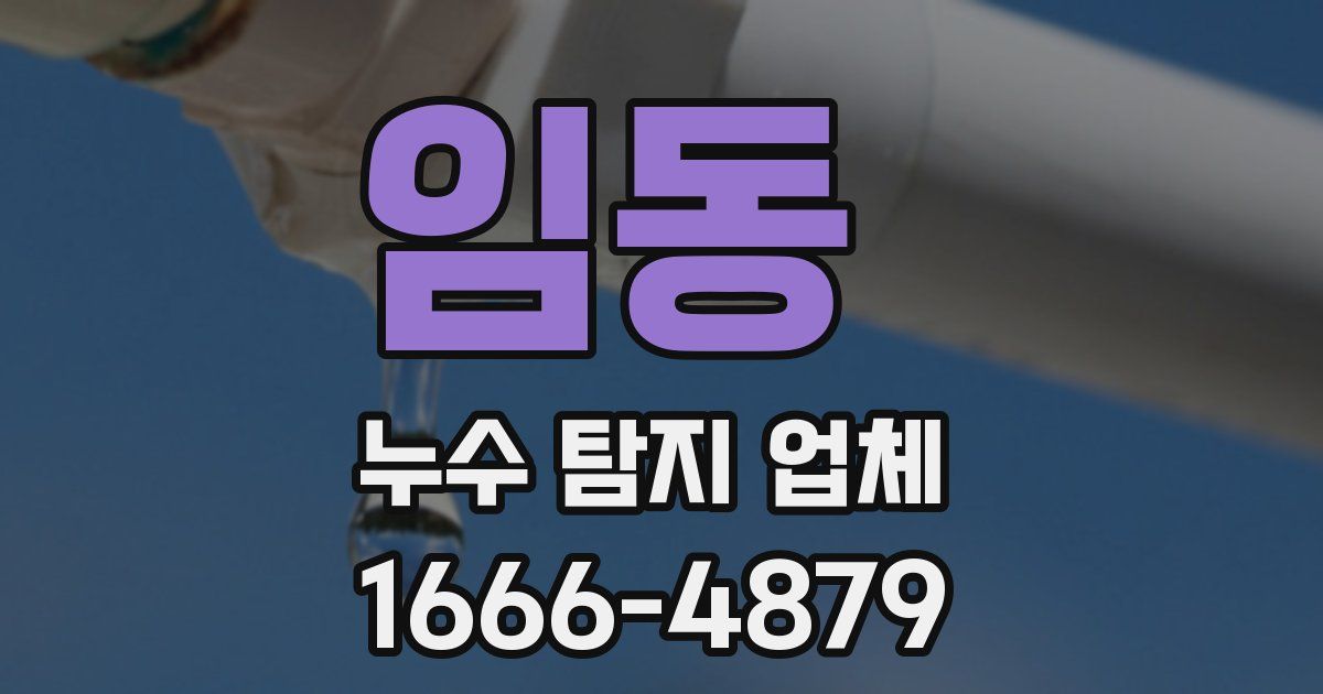 임동 누수 탐지 업체