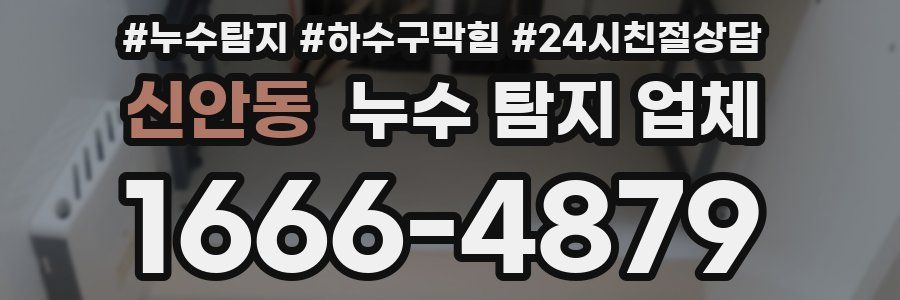 신안동 누수 탐지 업체