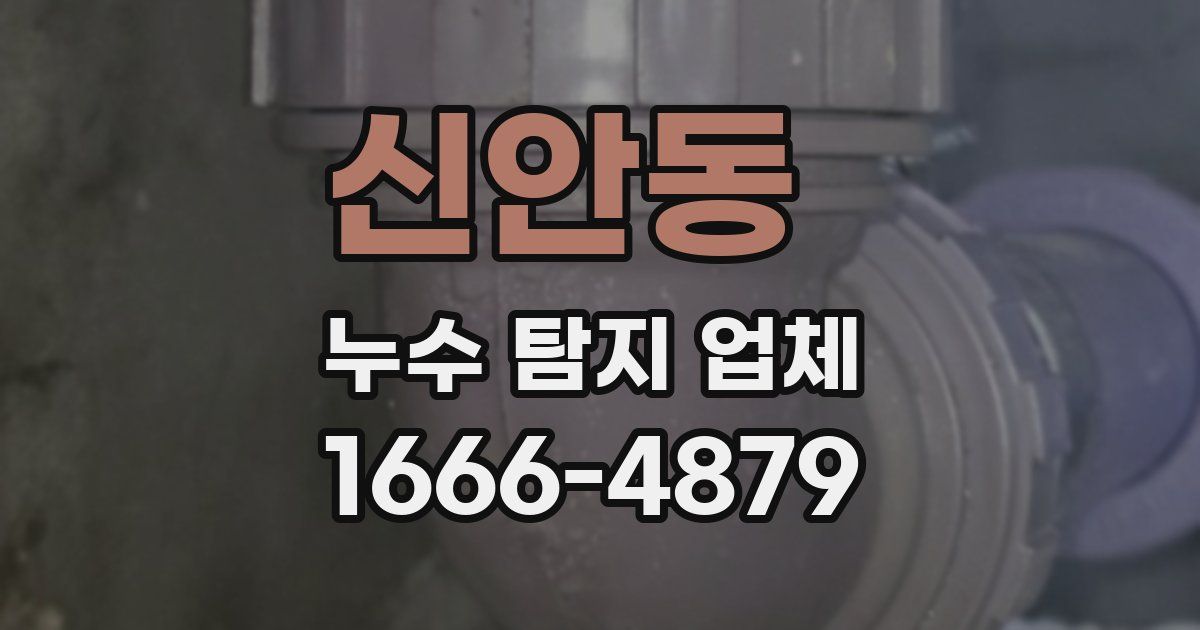신안동 누수 탐지 업체