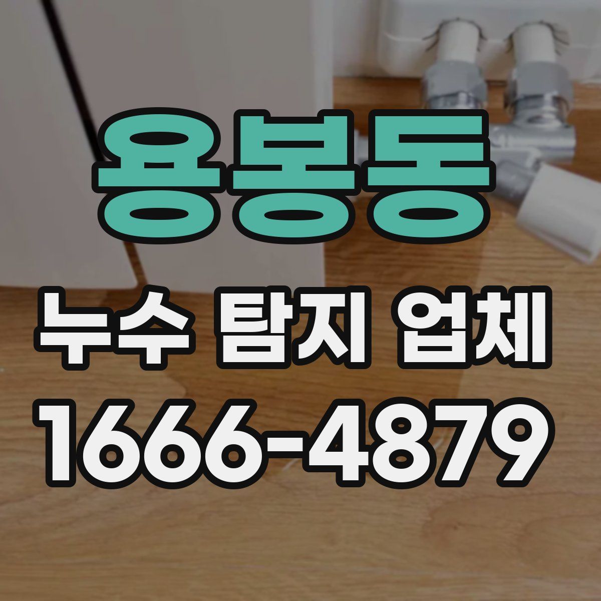 용봉동 누수 탐지 업체