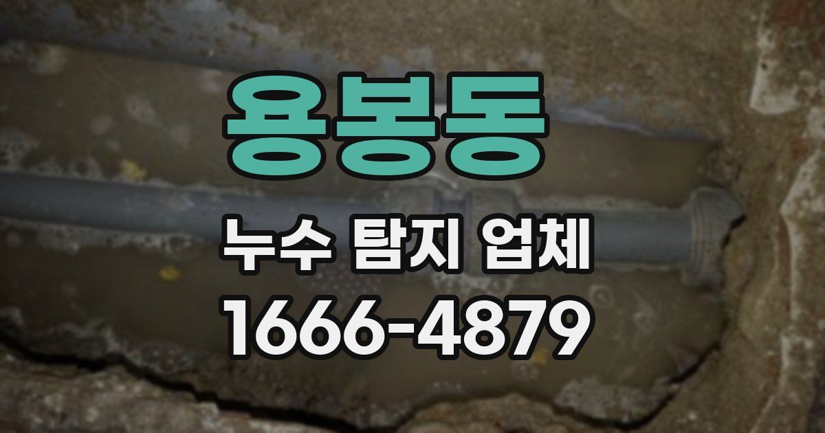 용봉동 누수 탐지 업체
