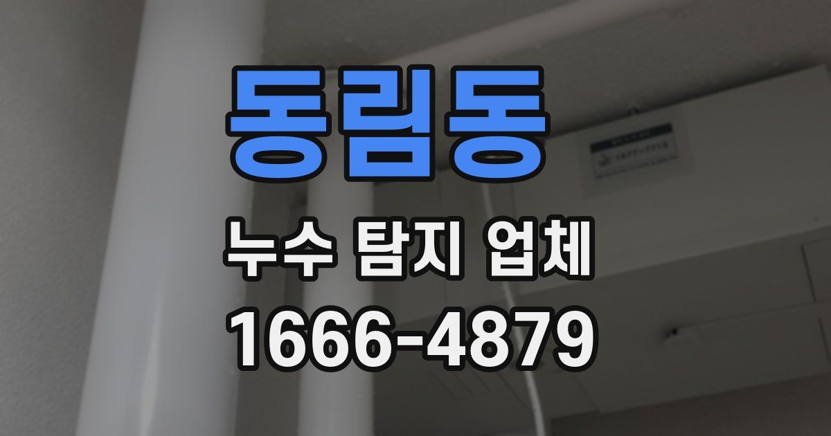 동림동 누수 탐지 업체