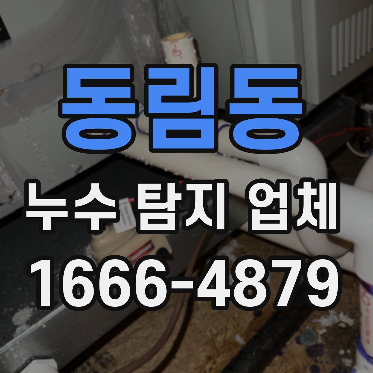 동림동 누수 탐지 업체