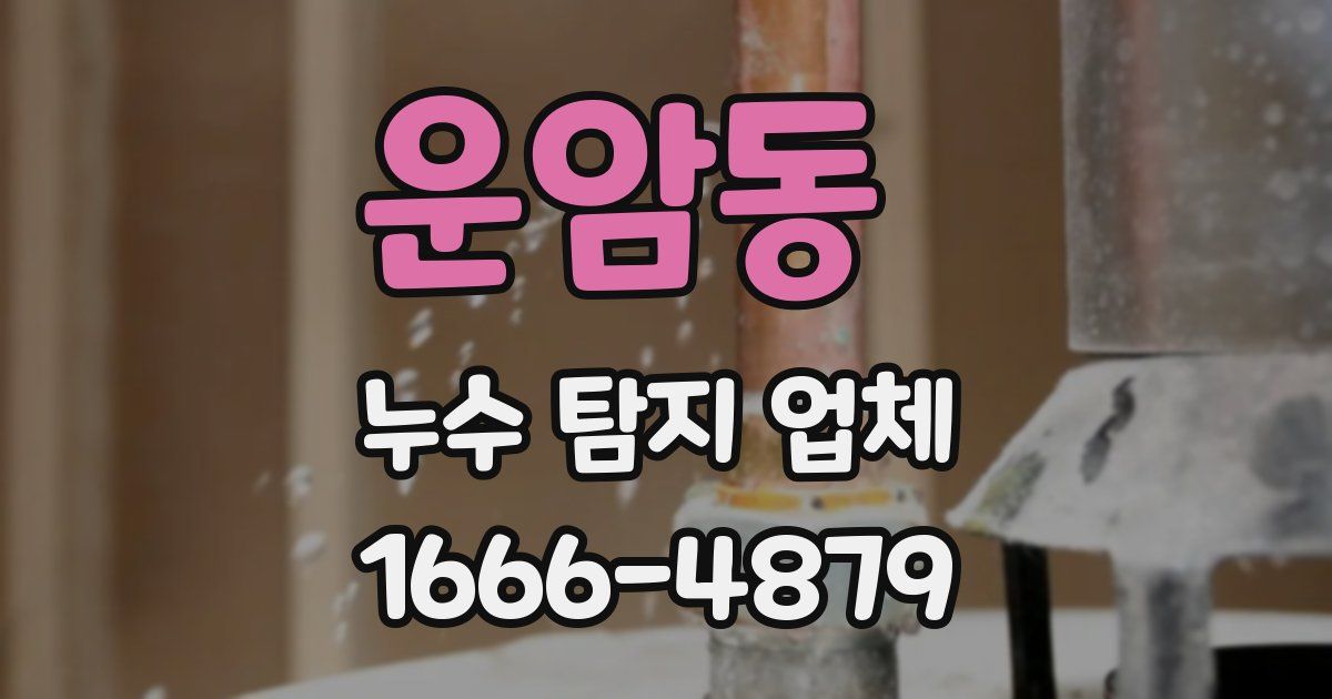 운암동 누수 탐지 업체
