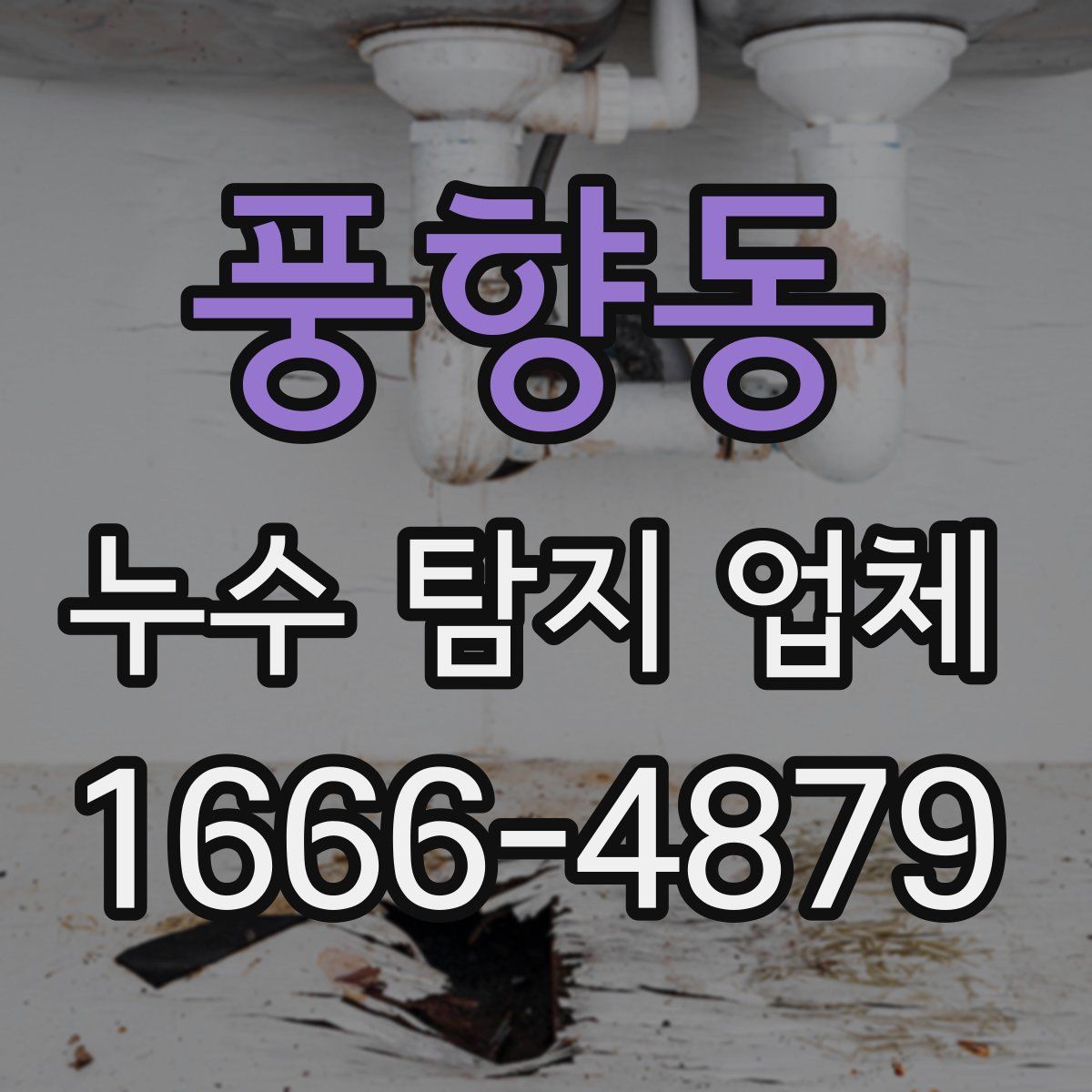 풍향동 누수 탐지 업체