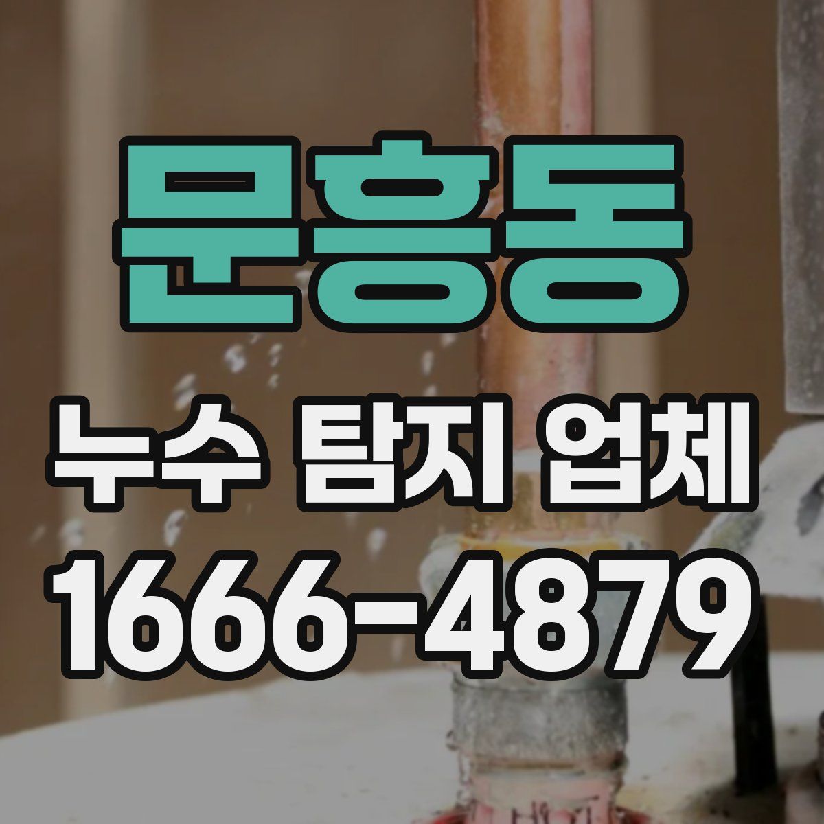 문흥동 누수 탐지 업체